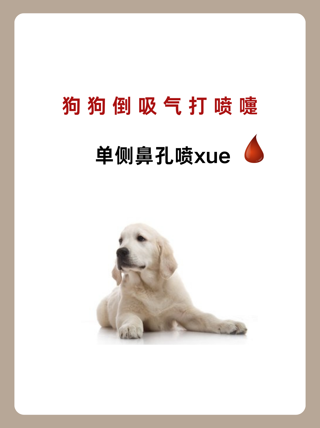 狗狗射速好烫太怕了春雨医生免费的视频狗狗射速好烫，宠爱之选