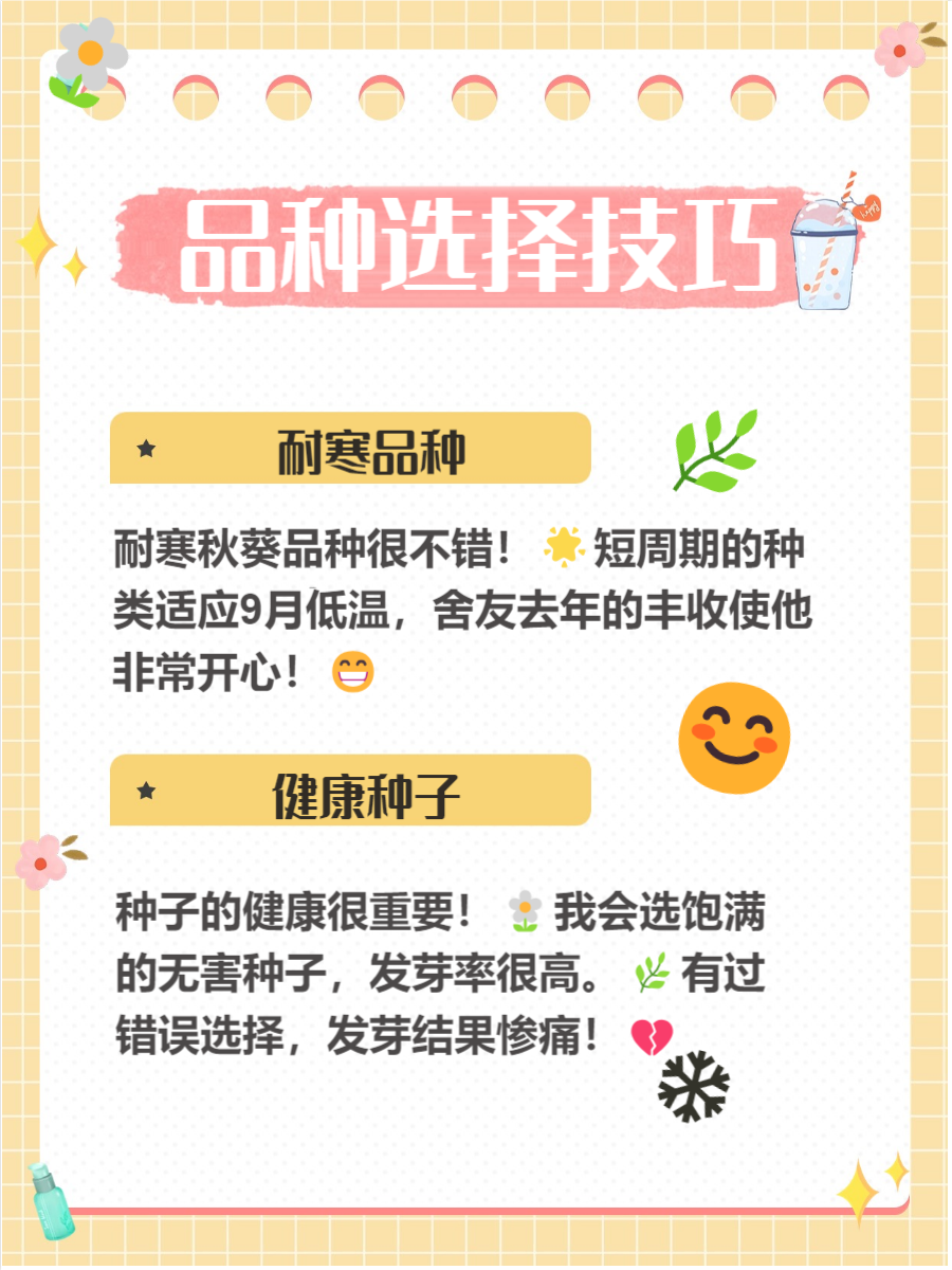 秋葵app下载免费体验