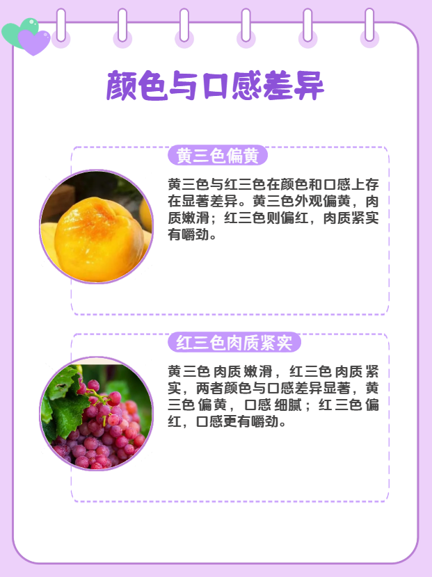 国产色母和进口色母区别在哪国产色母与进口色母的区别-第3张图片