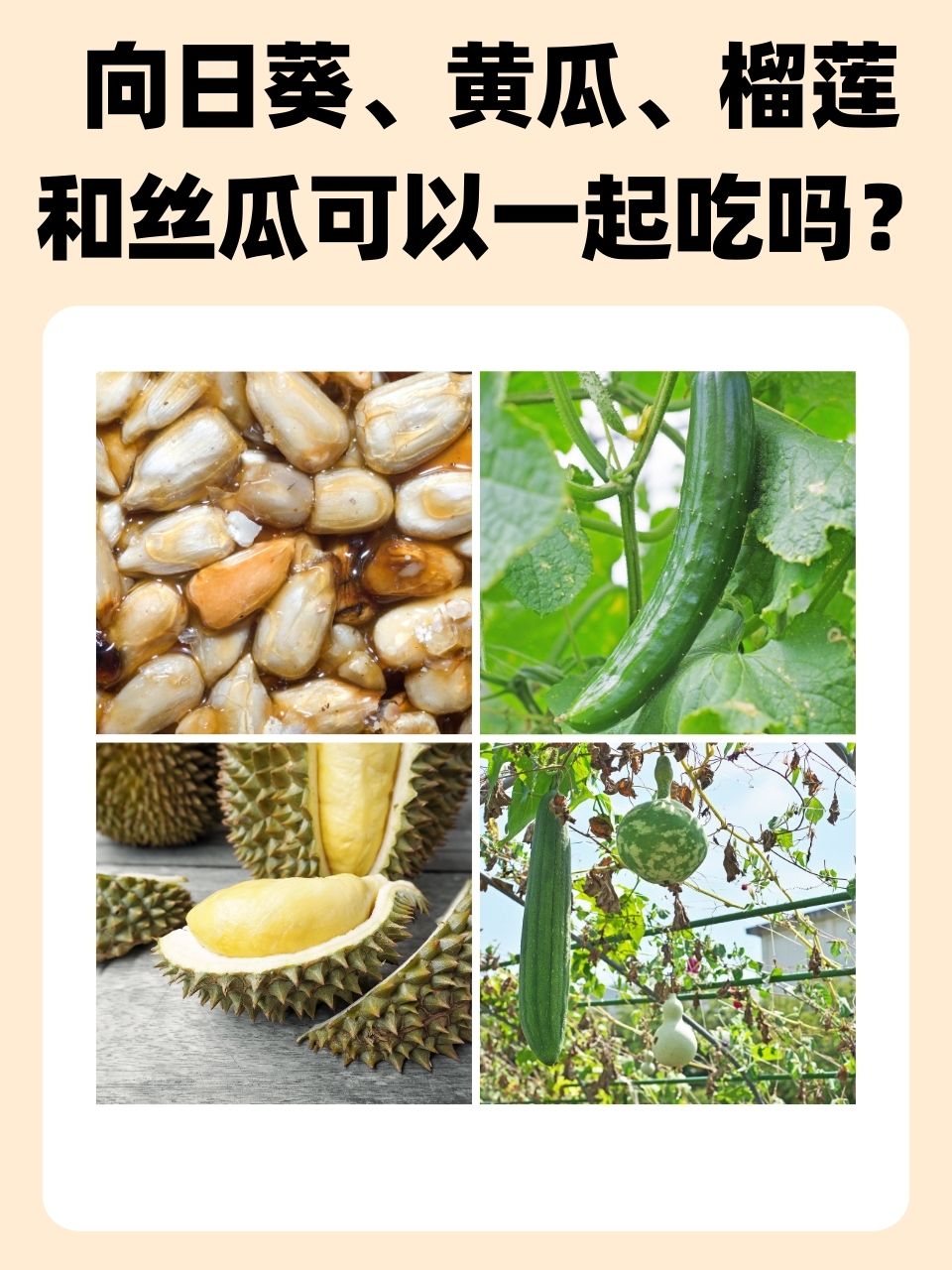 草莓丝瓜榴莲秋葵