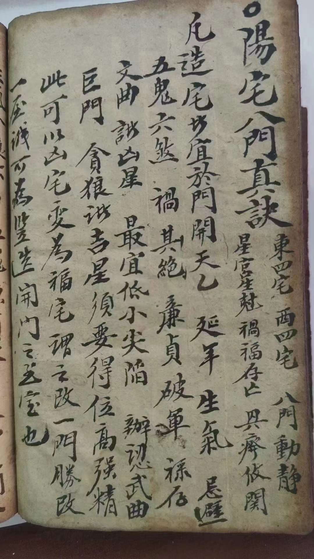 都市极品风水师无弹窗小说都市极品风水师