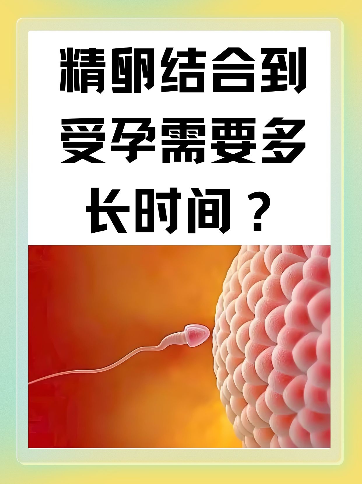 精产一二三产区别在哪里-第2张图片
