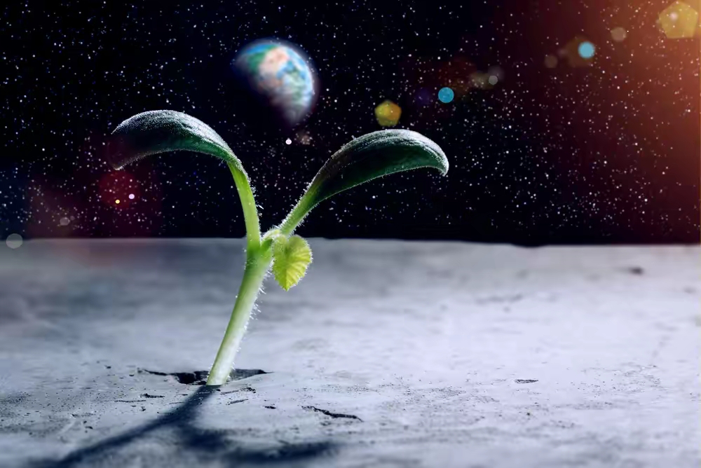 星空下载站官网星空下载，探索宇宙的无尽奥秘