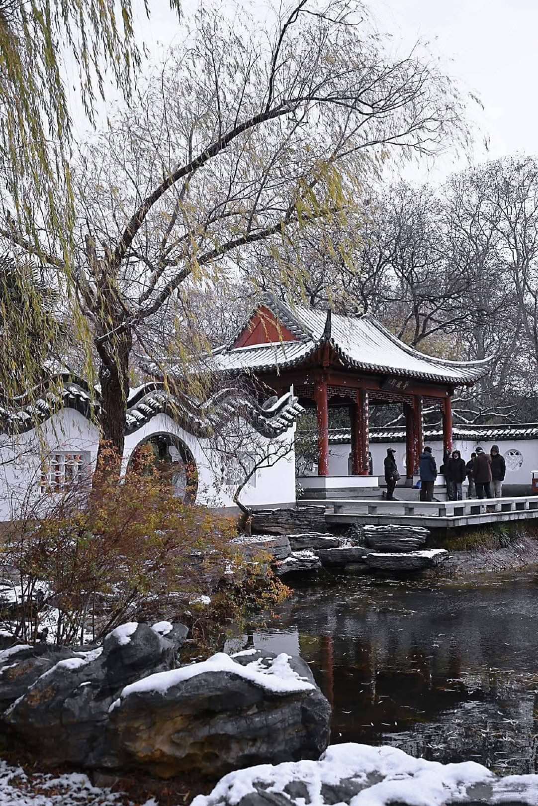 雪见诛仙，仙境中的雪与情