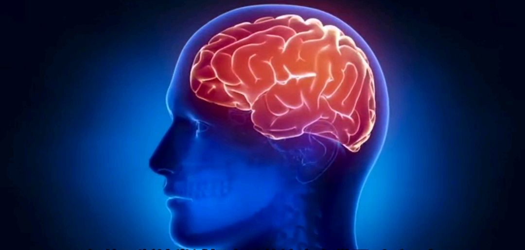 源生之能图纸哪里买源生之能，探索内在力量的源泉-第2张图片