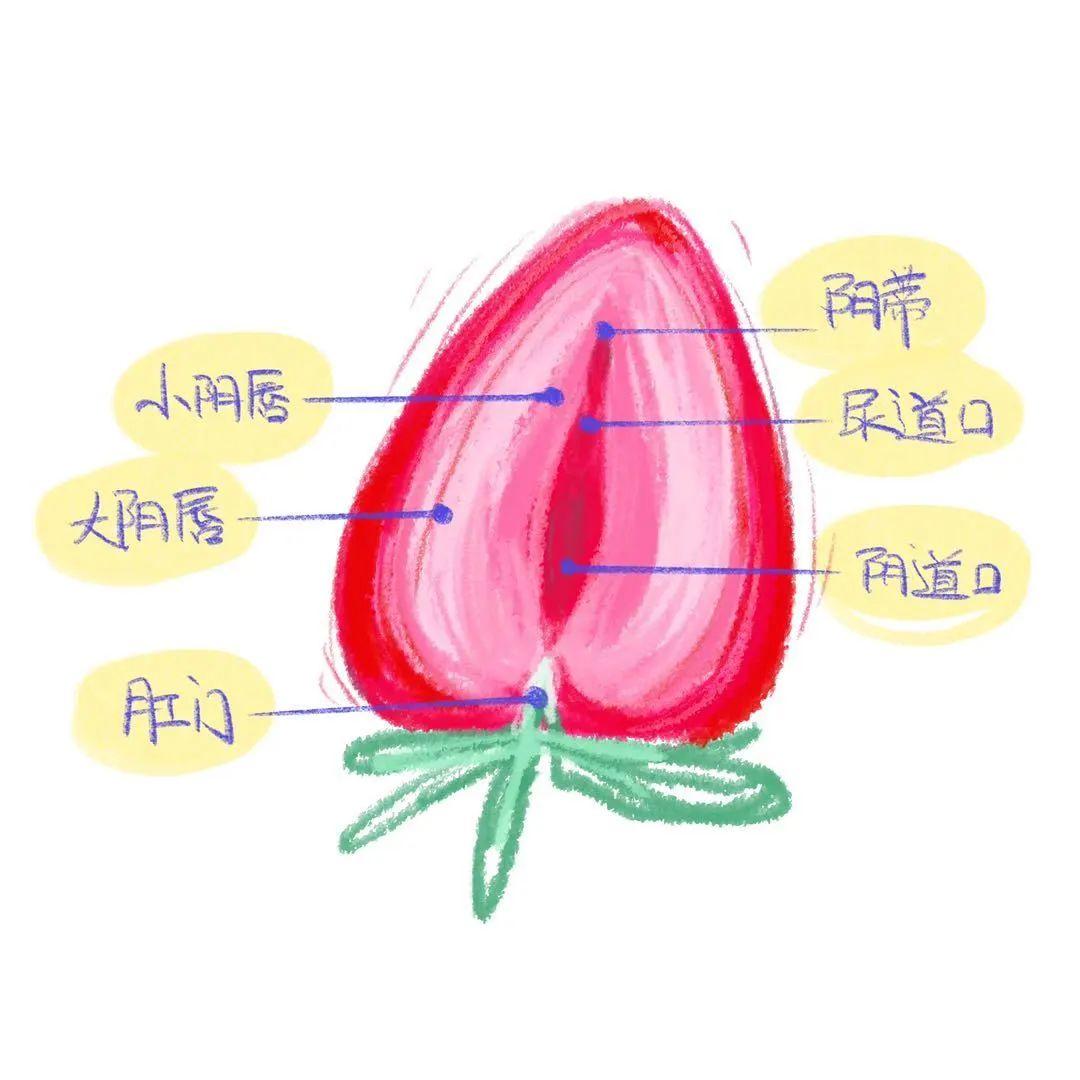 大阴帝bb大阴帝BB，神秘魅力与诱惑-第2张图片