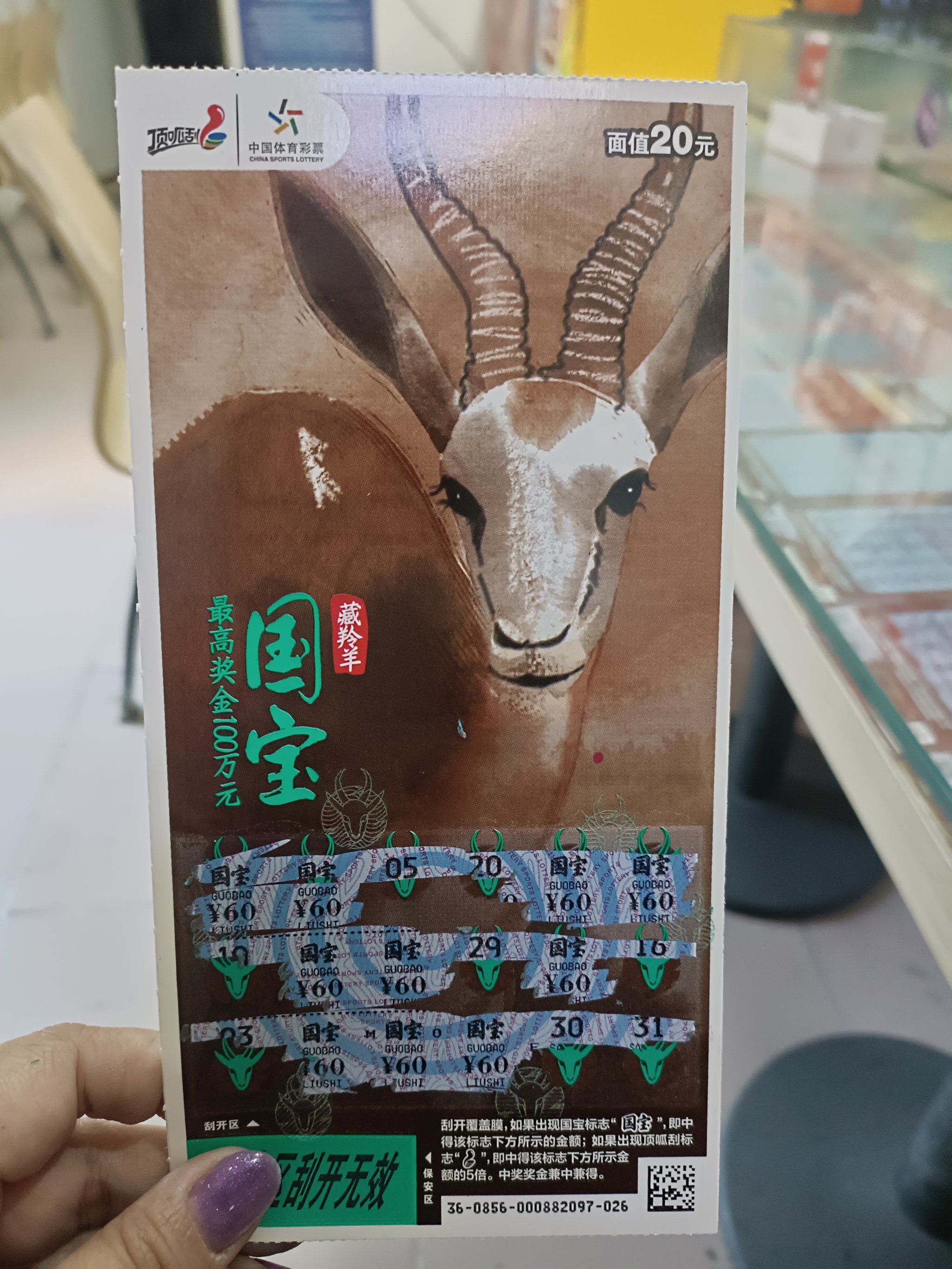 2025新澳免费资科大全2024年新澳门天天开彩免费查询，揭开彩票神秘面纱-第3张图片
