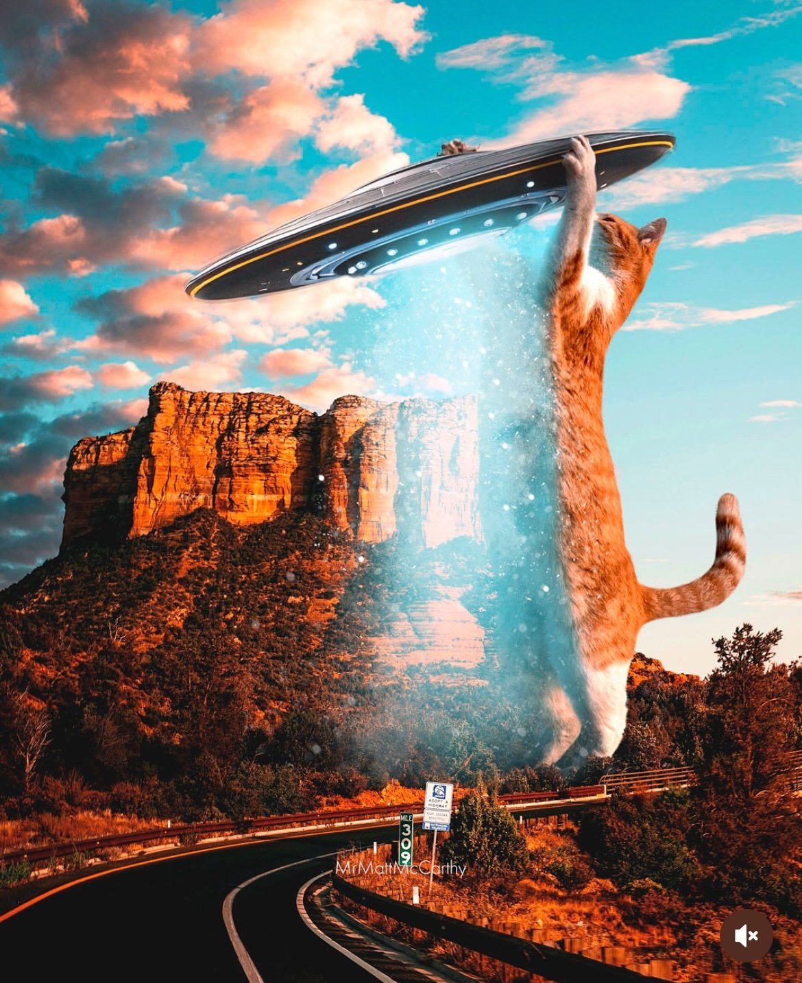 3d猫咪图片大全3D猫，神秘世界的萌宠-第3张图片
