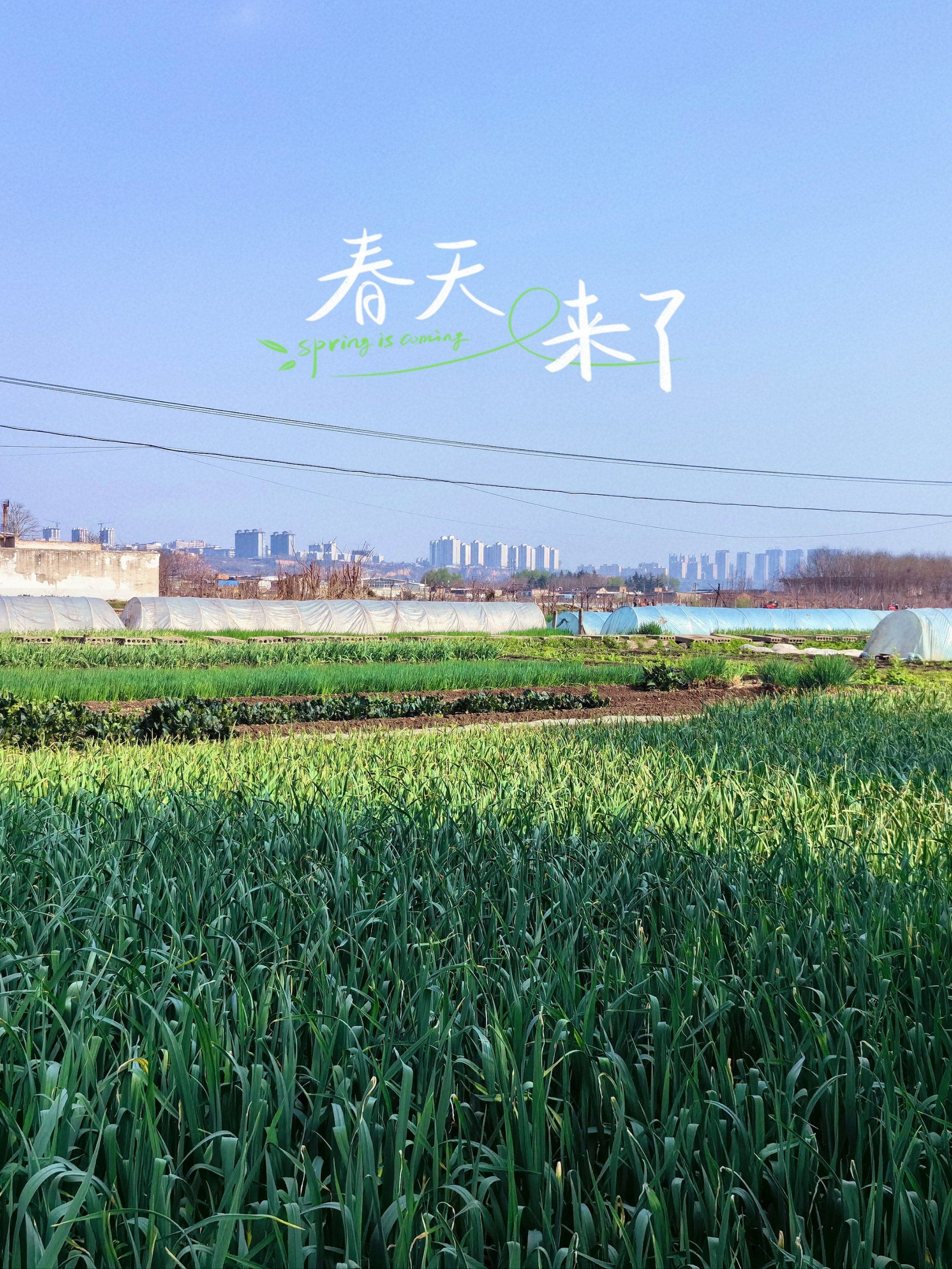 儿子耕种母亲的田地，名为田园之家-第3张图片