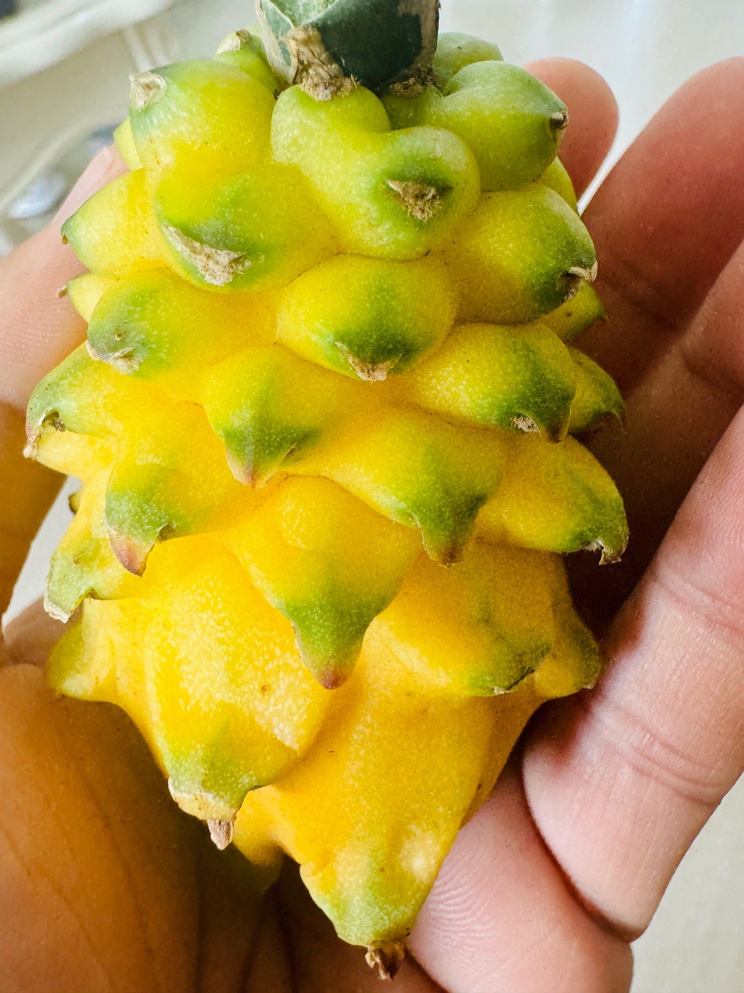 海南特产食品，探秘美食天堂-第2张图片