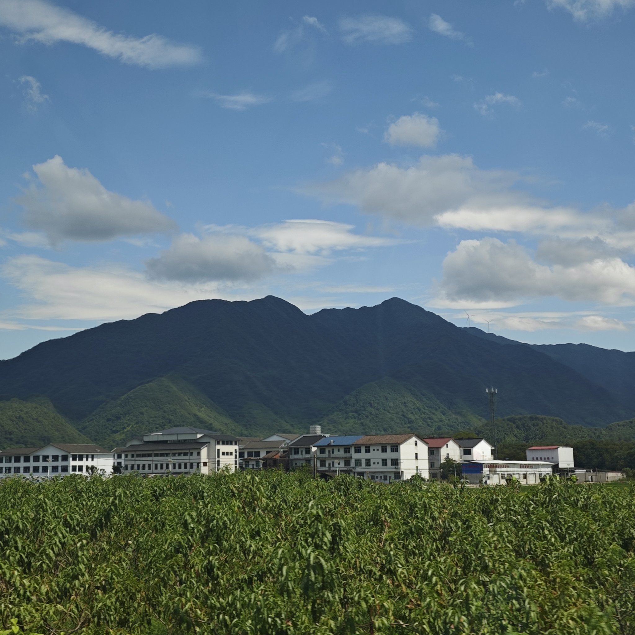 爹爹黄龙直捣溪水潺潺小说爹爹黄龙直捣溪水潺潺