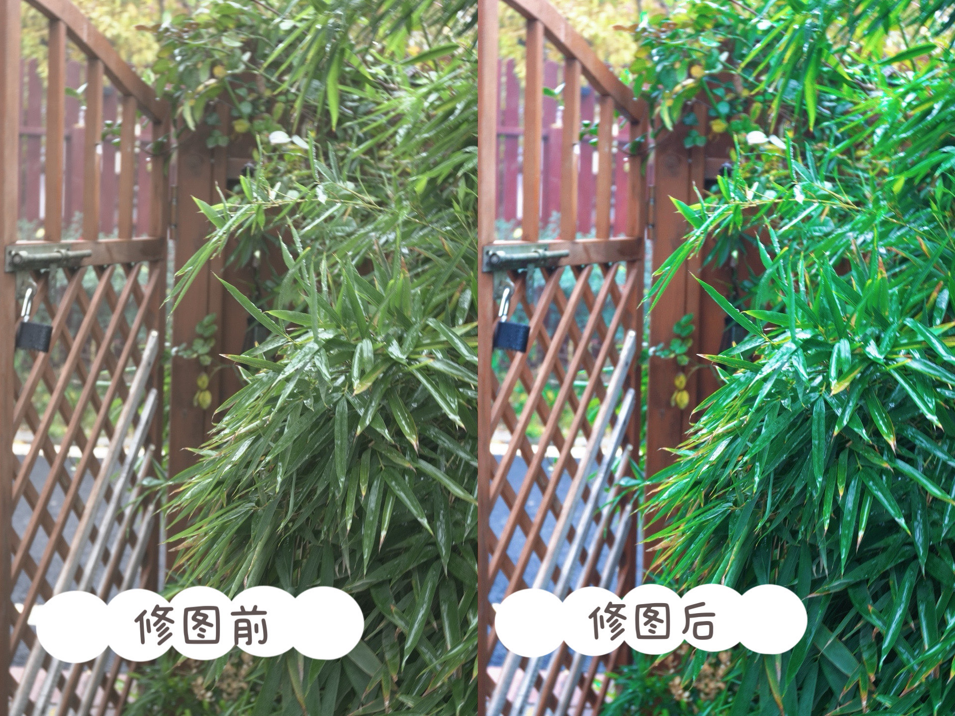 怎么摸小花园的技巧和方法如何摸小花园，技巧与方法-第3张图片
