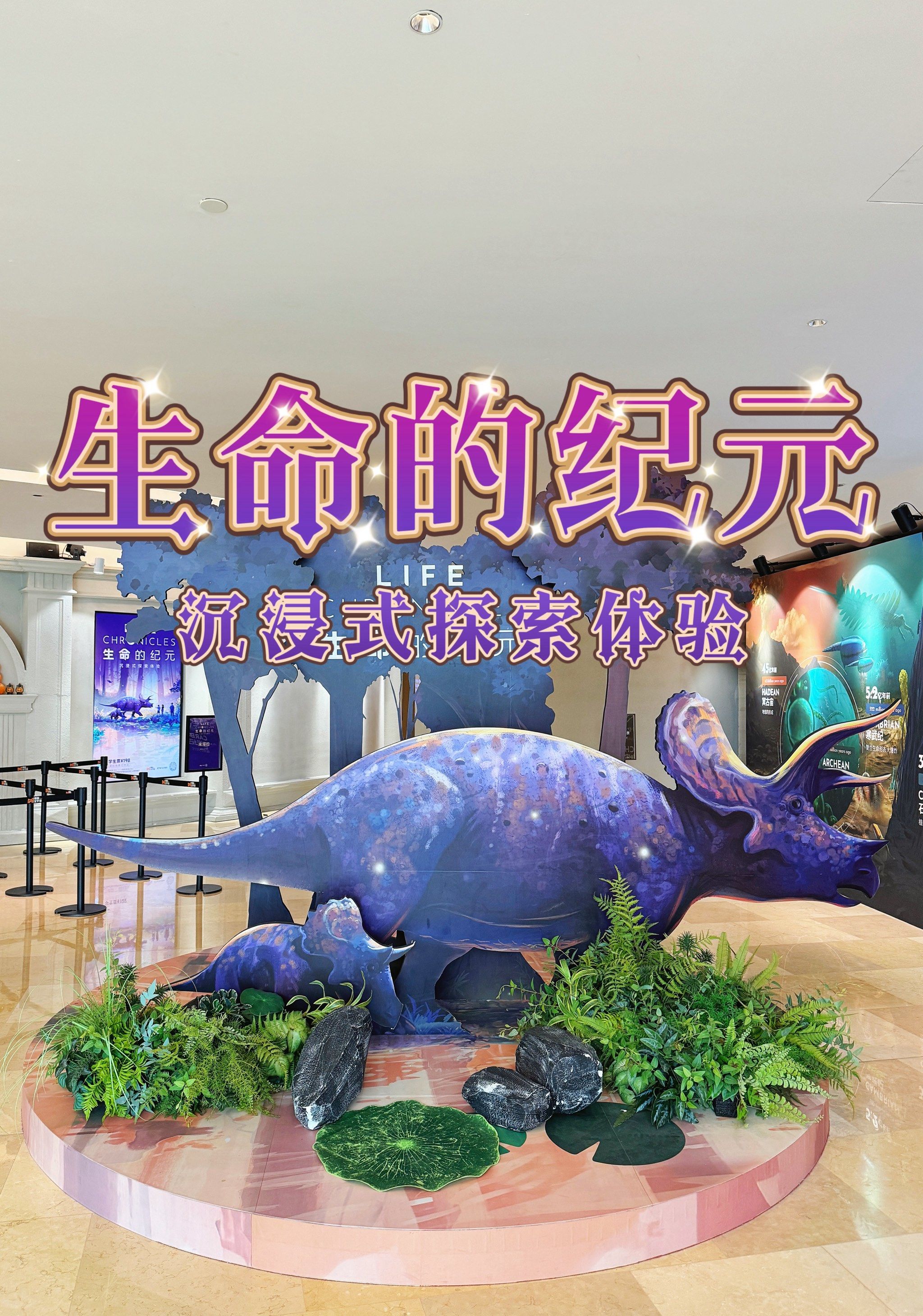 看B站直播，沉浸式体验与互动新纪元-第2张图片