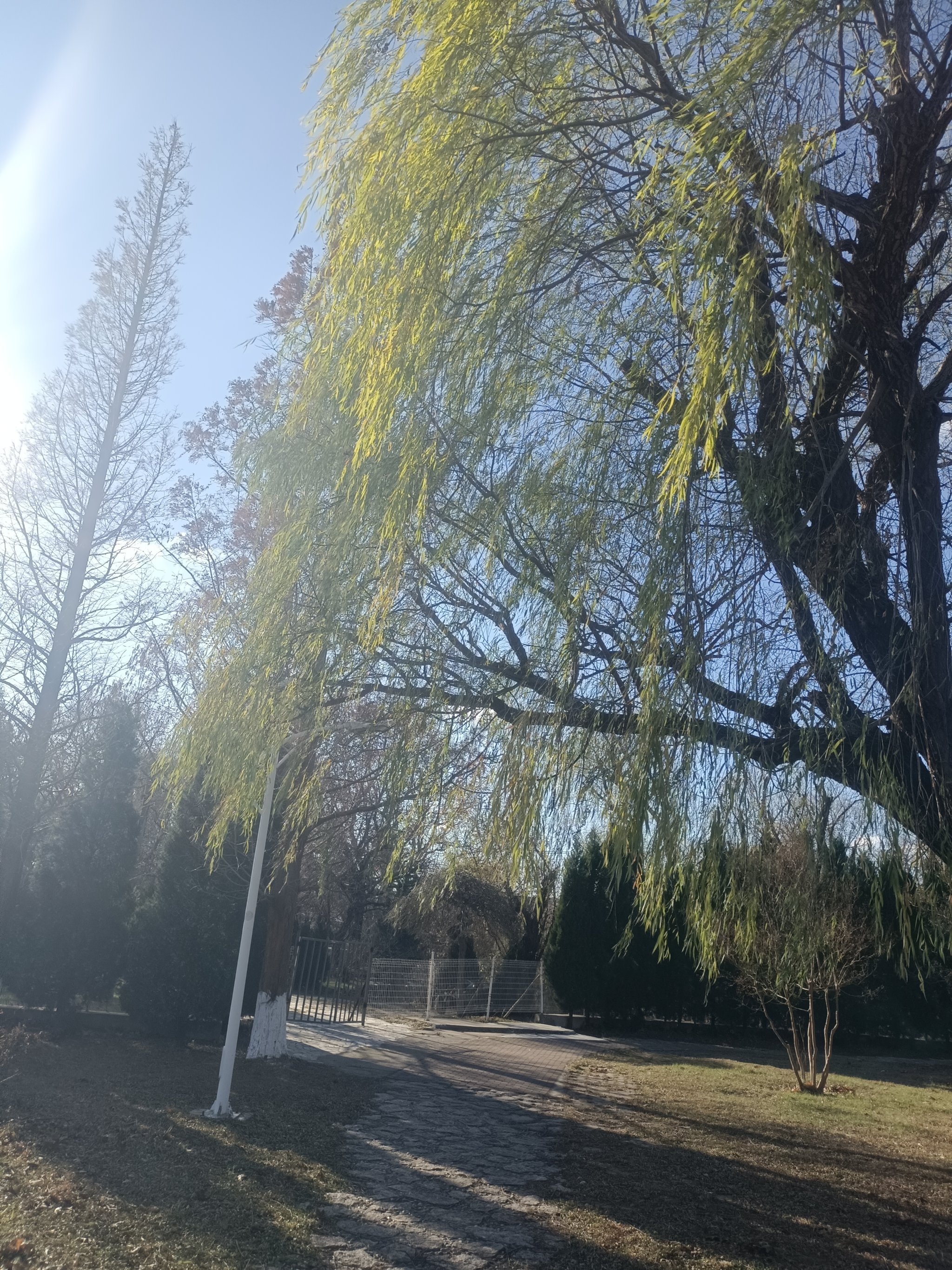 小草论坛小草论坛，绿色交流的家园-第2张图片