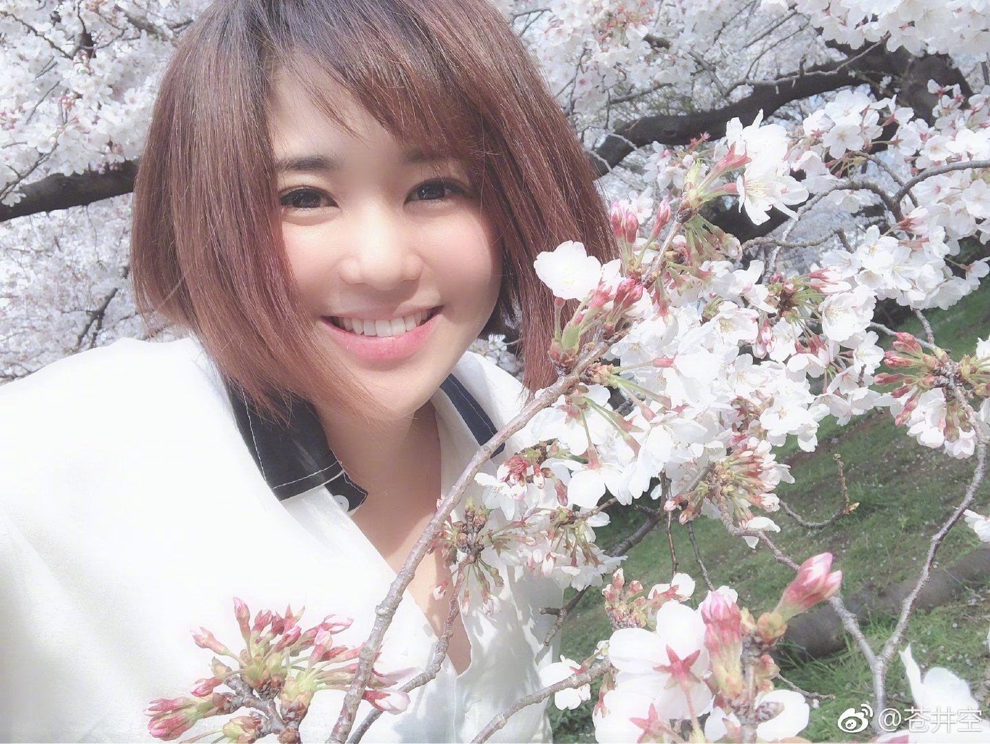 苍井空的含义苍井空口吐粘液图片揭秘