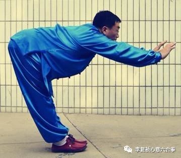 六合拳彩资料分析