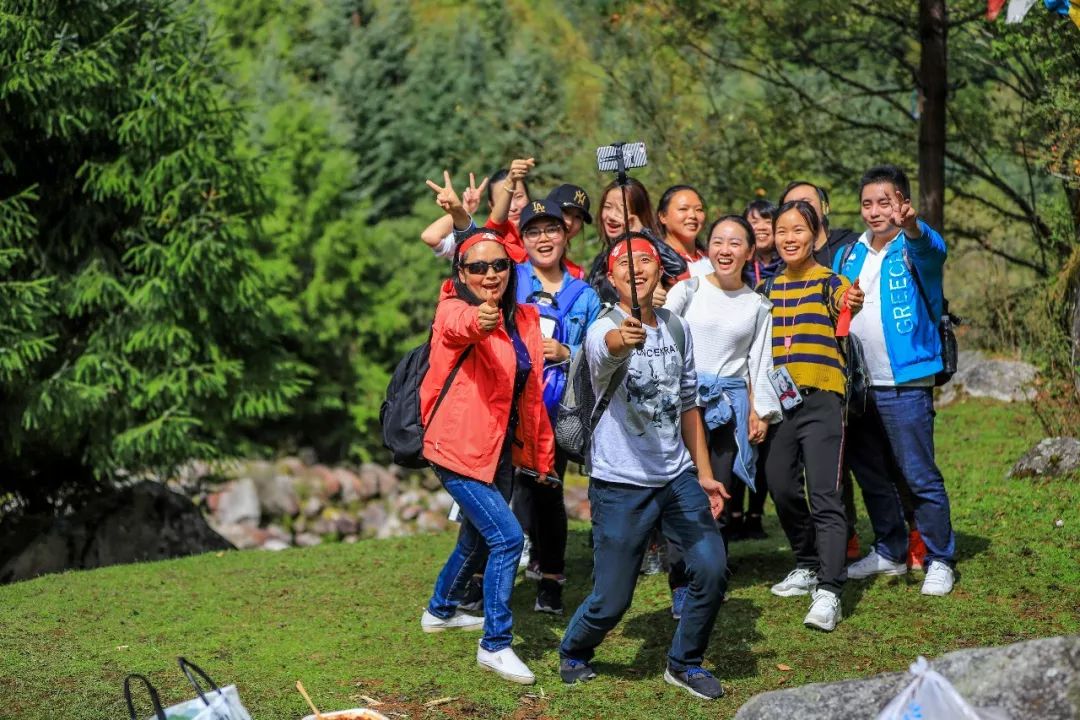 老人森林交易视频回放老人森林交易视频，和谐与自然的见证-第3张图片