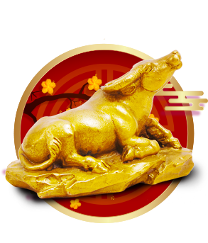 2019六给彩今晚开奖结果揭晓-第2张图片