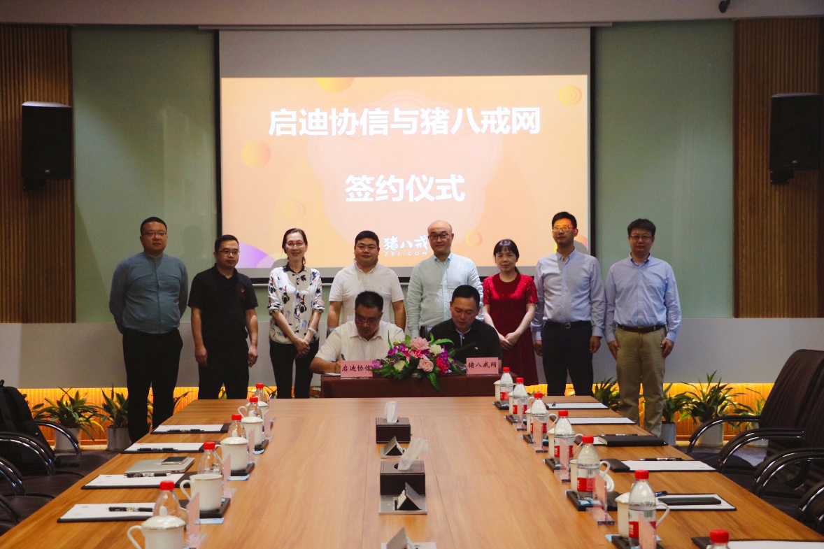 八戒资源在线，探索高效资源整合之道-第3张图片