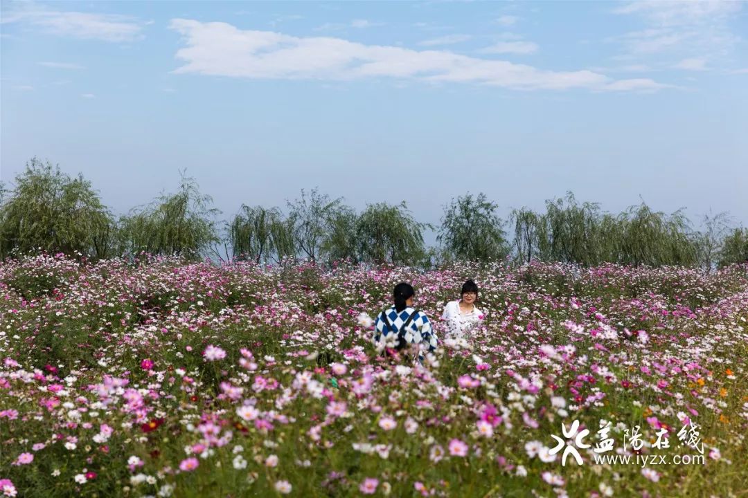 乌克兰精品摘花处破乌克兰精品摘花处破败景象-第2张图片