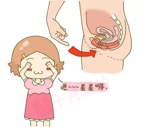 性福的游泳教练性福的游泳教练