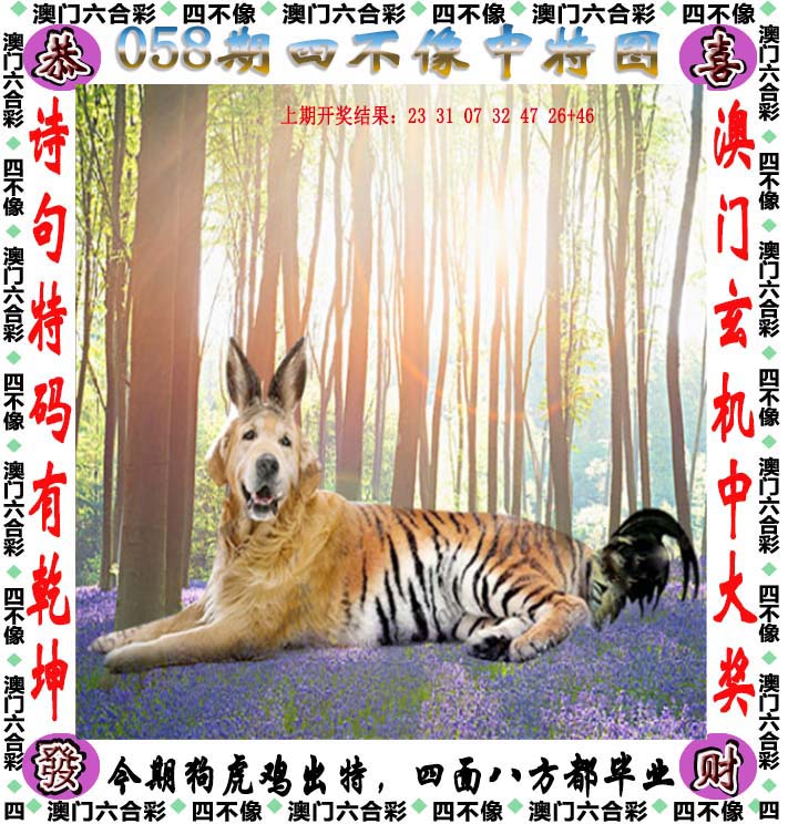 二四六天天好彩