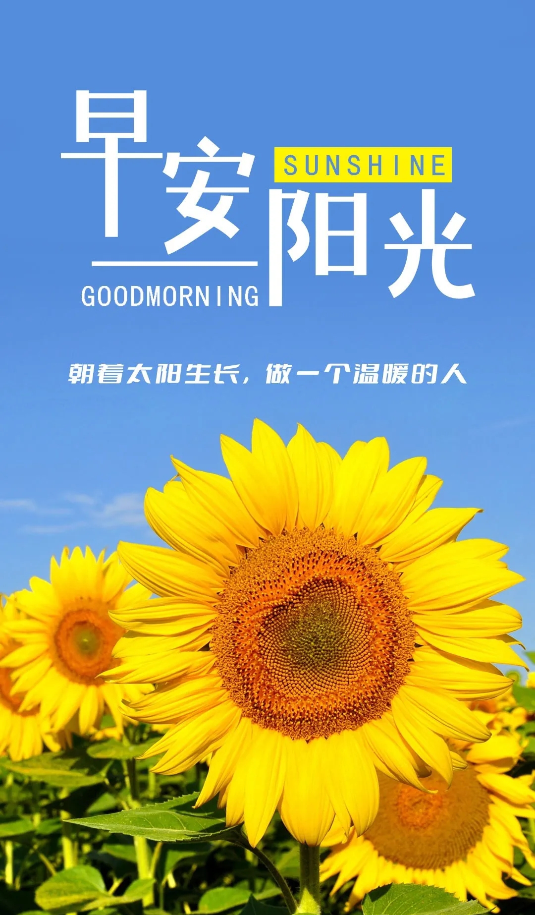江苏阳光高考网官方网站江苏阳光高考，公平、公正与发展的新篇章-第3张图片