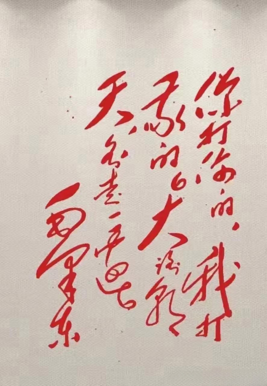 凤飞天下凤飞天下，盛世风采