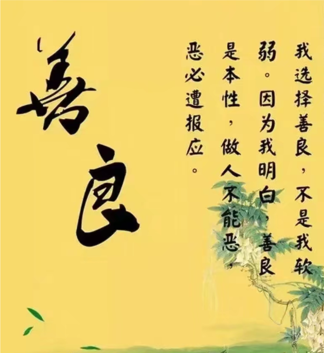 公借种日日躁娇娇公借种日日躁娇娇，社会现象与道德困境