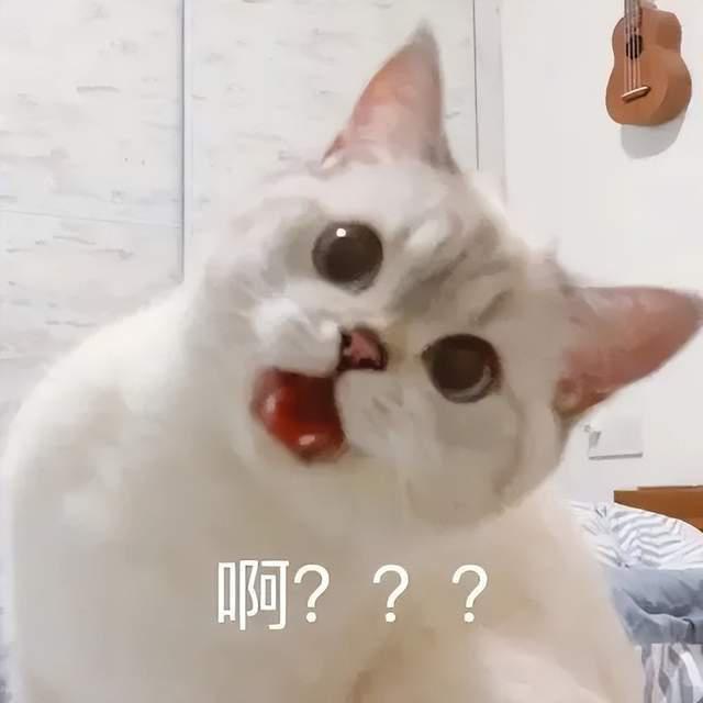 靠比游戏有没有靠比小游戏，乐趣与智慧的较量-第2张图片