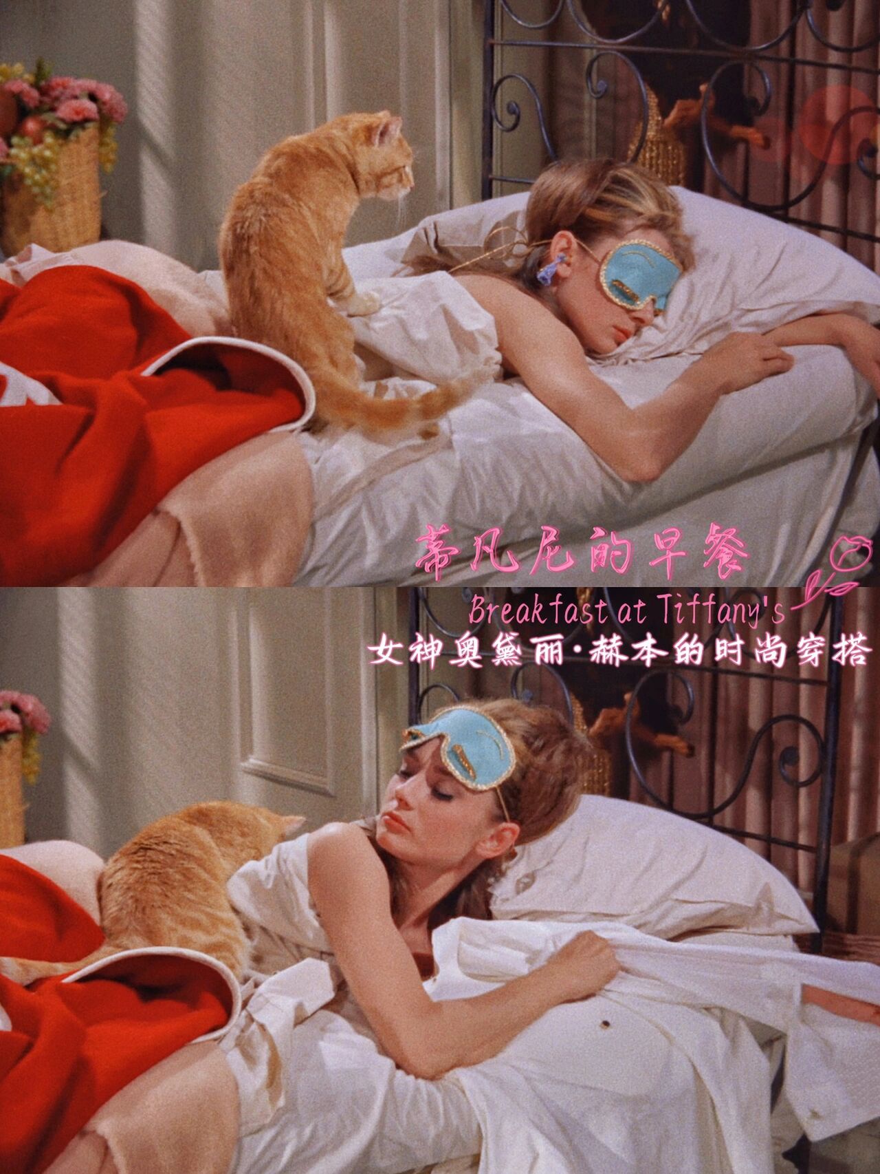 孤独的乔治，孤独的灵魂