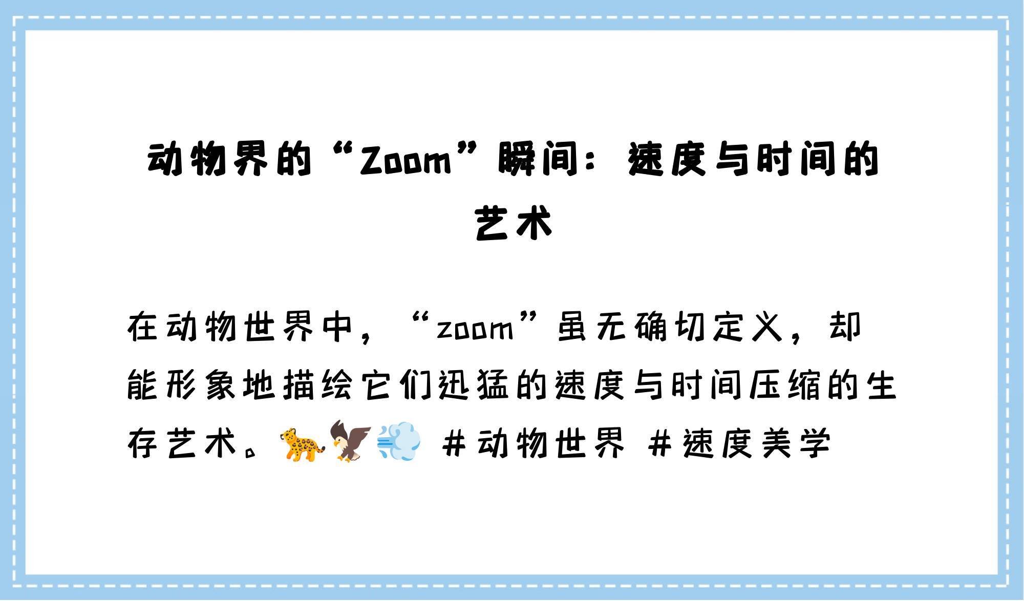 最新美国ZOOM动物欢迎你-第1张图片