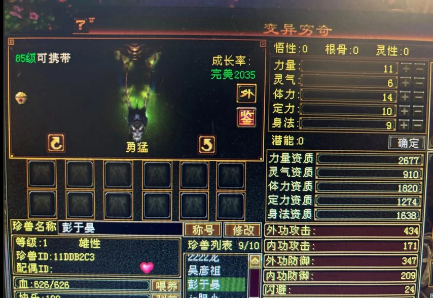 天龙八部兽魂附体-第2张图片