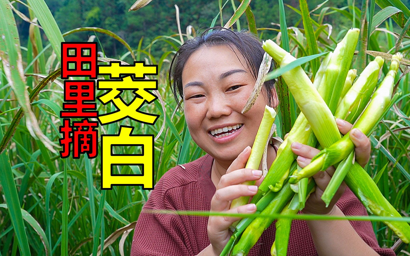 翁熄系列乱老扒第三部最新章节翁熄系列乱，老扒揭秘
