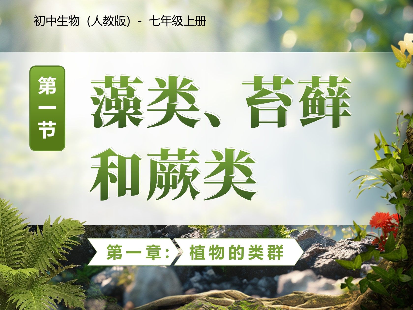 顶峰人体顶峰人体，探索生命之巅的奥秘-第3张图片