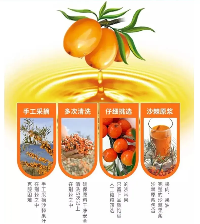 迈开腿，走进森林的味觉之旅