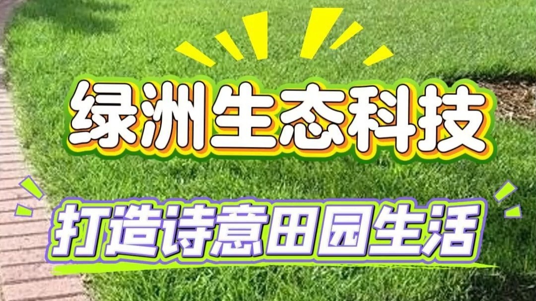 小草论坛小草论坛，绿色交流的家园