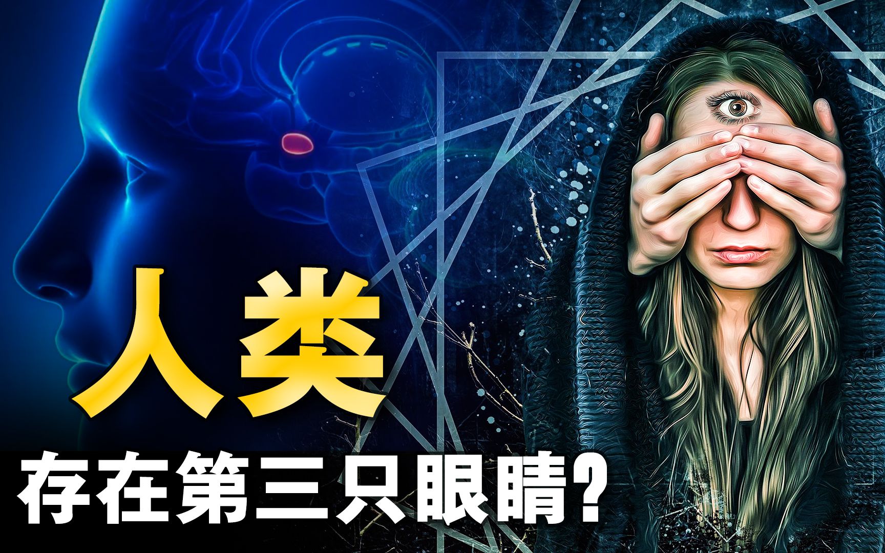 7711诛神7711诛神，神秘神话的探索之旅