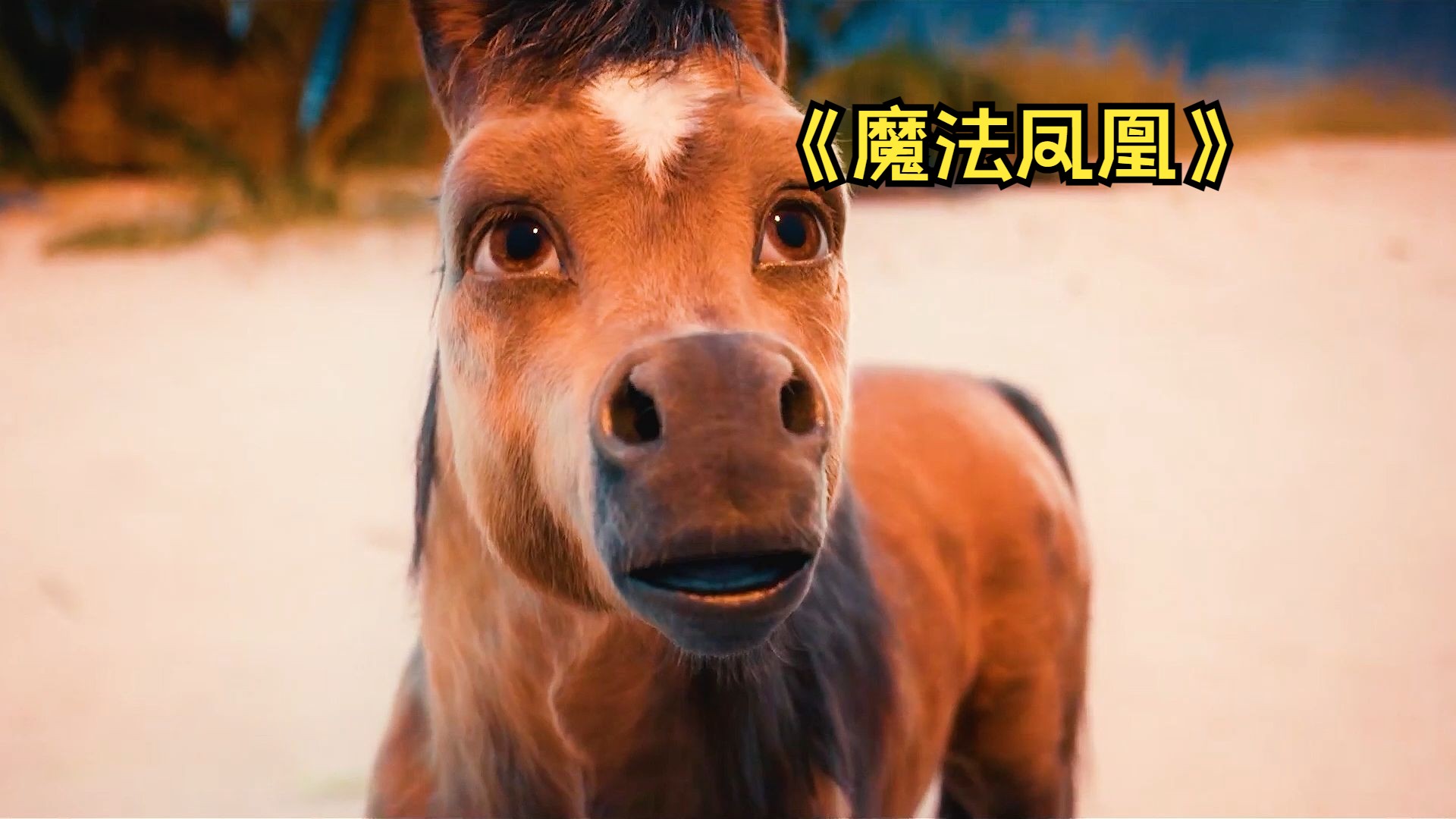 火焰鸟开挂免费下载火焰鸟，神秘生物的探索之旅