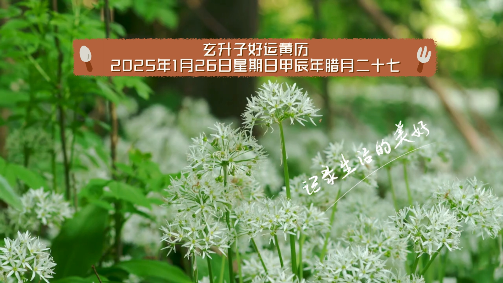 2022年1月4日黄历2022年1月4日黄历-第3张图片