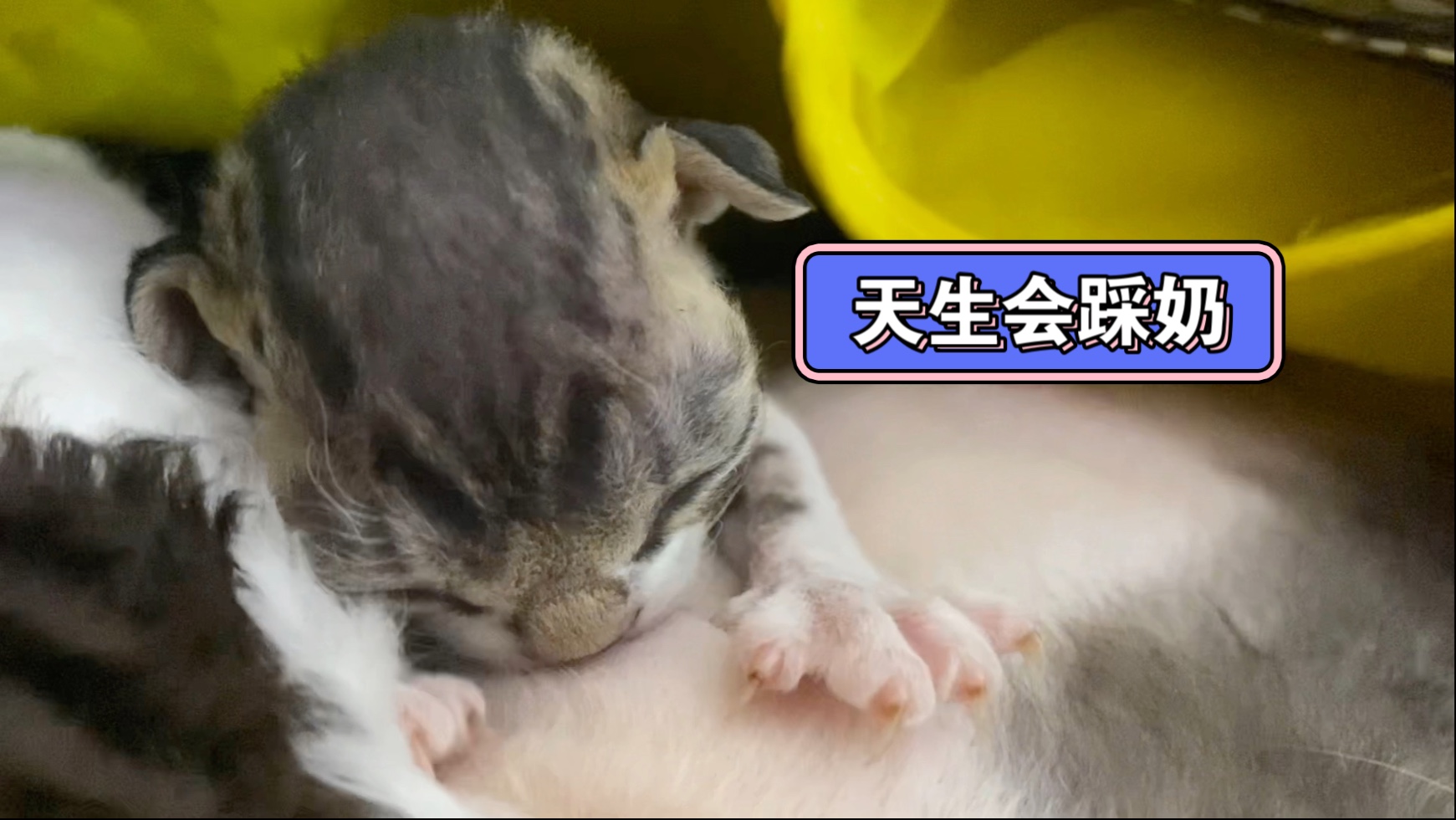 浴室边摸边吃奶边做边爱口述浴室边摸边吃奶边做边爱的浪漫时光-第2张图片