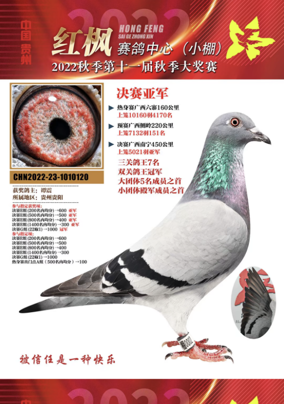 天南铜都赛鸽中心青年棚2021天南铜都赛鸽中心青年棚2021，赛鸽新篇章