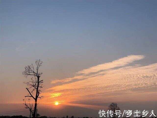 八月十七号是什么梗八月十七号梗解析-第2张图片