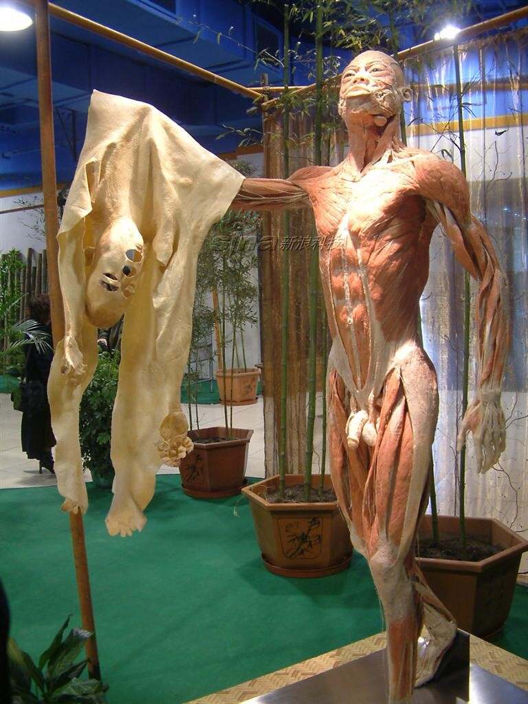 0d0d肥胖老太婆第9集剧情介绍0d0d肥胖老太婆的生活与挑战-第1张图片