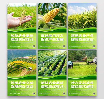 一二三产区的文化背景与发展方向一二三产区文化背景探析-第2张图片