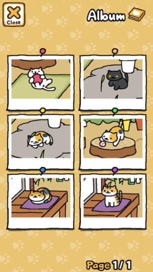 猫咪最新破解版下载链接揭秘