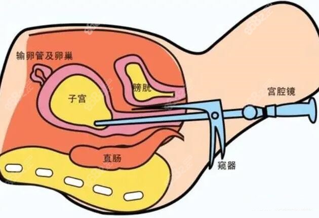 女生的隐私，一份私密的探索