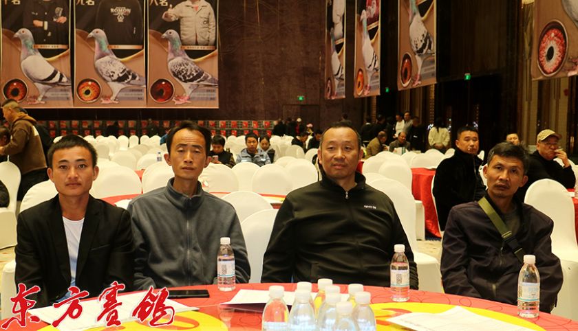 天南铜都赛鸽中心秋棚小棚2023天南铜都赛鸽中心秋棚小棚介绍-第3张图片