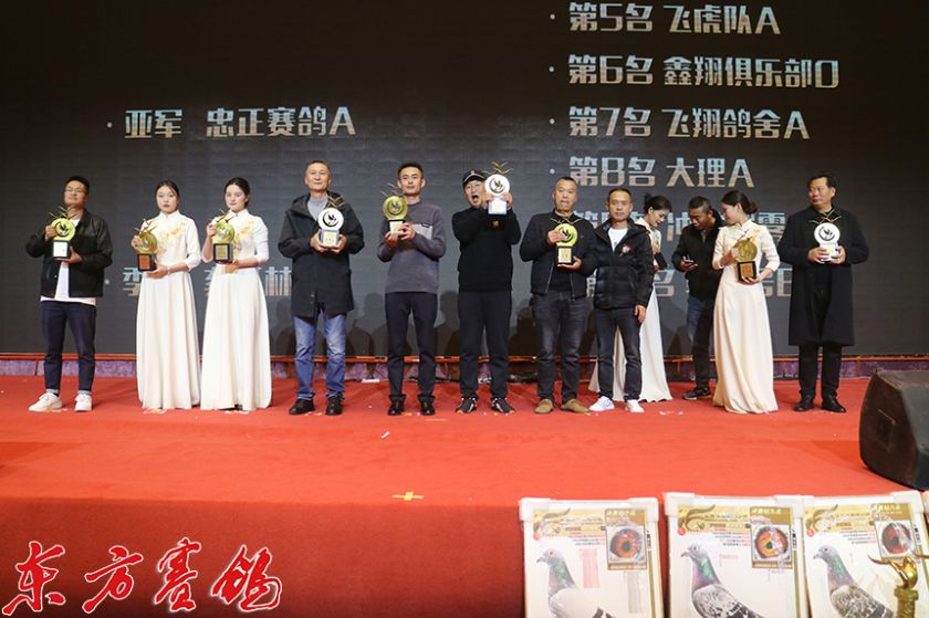 天南铜都赛鸽中心秋棚小棚2023天南铜都赛鸽中心秋棚小棚介绍-第2张图片