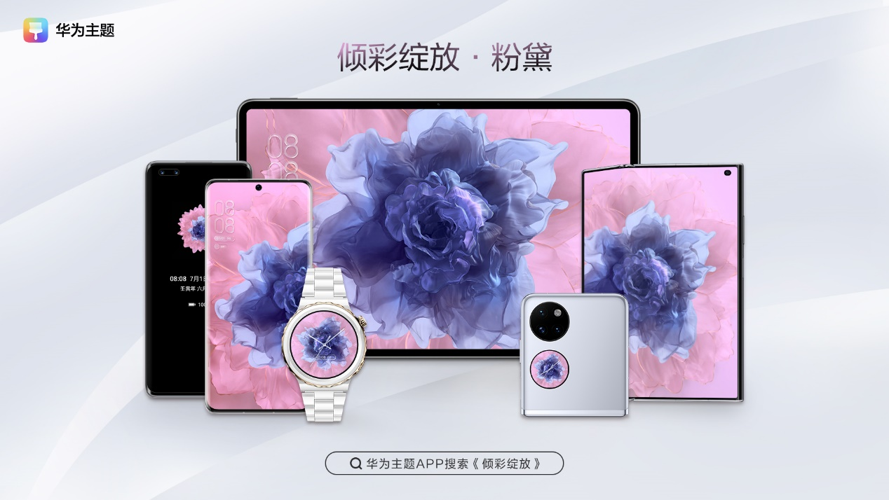 飞鱼tv飞鱼TV，引领智能电视新潮流-第3张图片